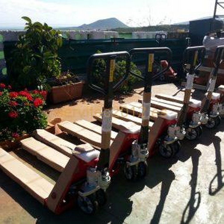Transpaletas manuales 2500 kg Oferta